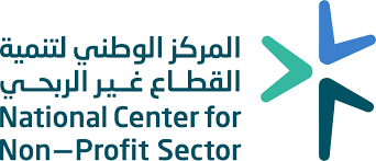 لالقطاع غير ربحي